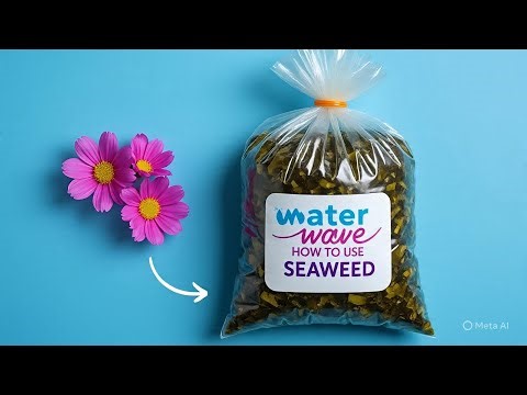 #8: How to Use Seaweed Fertilizer for Maximum Flower Growth 🌸🌿