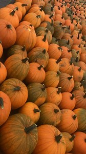 16K views | Lester's Farm Market on Reels | Facebook