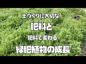 Too much or too little is no good! How to apply fertilizer [soil preparation] [farmer's home garden]