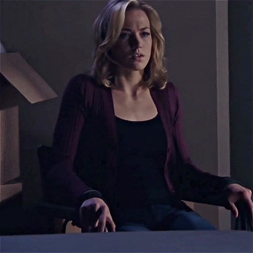 Chuck TV Series: Heartbreaking Sarah Walker and Chuck Bartowski Relationship