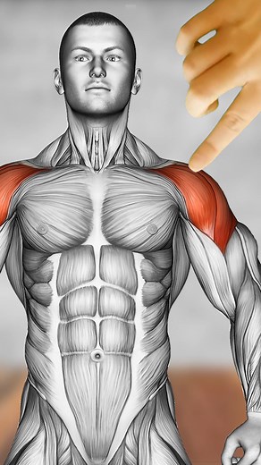 580K views · 5.5K reactions | Powerful Shoulder Workout for Muscle...