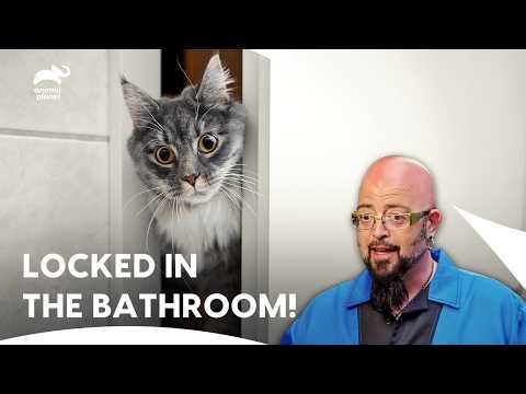 Lara And David’s Cat Sent To Jail | My Cat From Hell S3 E4 | Animal Planet India