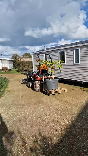 🌿 Urgent ! ❄️ Froid = danger pour nos plantes ! 🏃‍♂️💨 On les met à l’abri ! 🌱 Pour les revoir en pleine forme en 2026 ! 🏕️ Camping aux portes de Paimpol ✨ Prêt pour une nouvelle saison magique ! 💌 Partage ce réel ! 🙌 Fais voyager la nature et la bonne humeur ! #CampingPaimpol #PlantesEnSécurité #ByeByeFroid #PréparationSaison2026 #PartagezLaNature | Camping Aux Portes de Paimpol