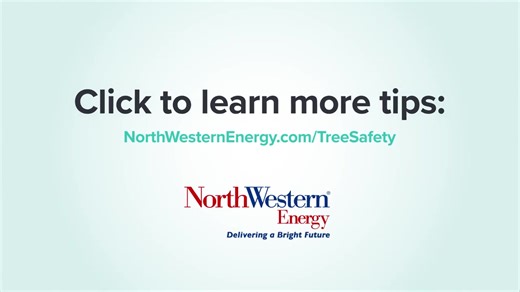 Planting a tree takes some initial planning, educating and important safety measures to ensure the tree is all that it can be. From selecting the perfect tree at the nursery to calling 811, our expert arborists provide helpful tips so that you plant the right tree in the right place every time. To learn more, visit NorthWesternEnergy.com/trees. | NorthWestern Energy | Facebook