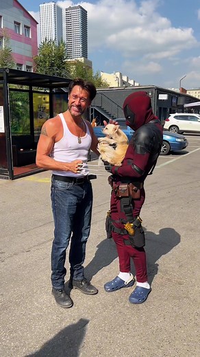 Doogpool and Wolverine - A Canine Superhero Duo
