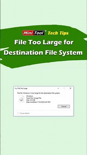 Solved: The File Is Too Large for the Destination File System #filesystem #format