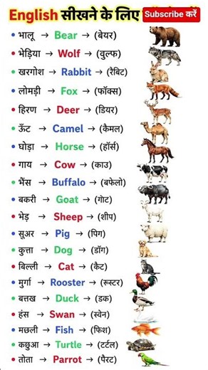 #spokenenglish #englishspeaking #english #education #sentences #englishvocabmastery #englishshorts