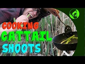 Harvesting and Cooking Cattail Shoots