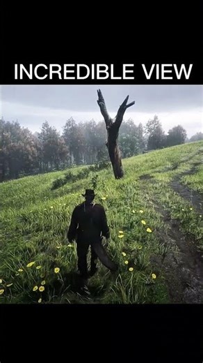 The Most Incredible Graphics In Red Dead Redemption 2