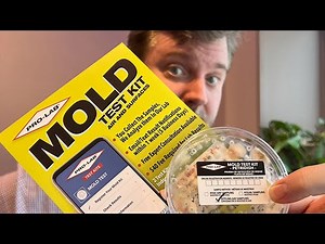 DIY Mold Testing: Conquer Hidden Mold with a Pro-Lab Mold Test Kit | The SandViking Starts Strong!