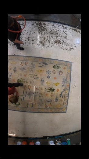 What is the dirtiest rug you’ve ever seen in someone’s house? Don’t name names… unless you’re brave 👀😂. Drop a comment, like, share, and enjoy this satisfying clean. #rugcleaning #satisfyingcleaning #asmrcleaningvideo | Elite Services Quality Clean
