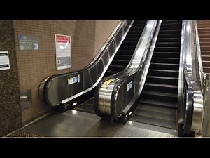 エスカレーターx6 埼玉高速鉄道 鳩ヶ谷駅から新井宿駅へ