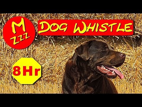 Silent Dog Whistle - Random Whistle Sounds Only Dogs Can Hear - How to Stop Dogs Barking