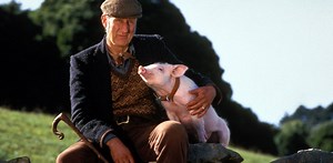Babe at 30: why this much-loved film is one of the best cinematic translations of a children’s book