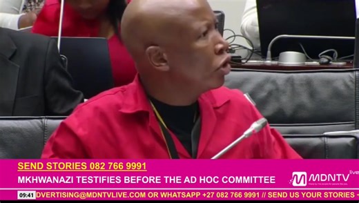 EFF leader Julius Malema has slammed the labeling of General Nhlanhla Mkhwanazi’s submission as a “supplementary statement,” saying, “The senior counsel can’t say the first statement to us is a supplementary statement.” He insisted it be corrected before Mkhwanazi testifies, “Let them go and correct it so it serves here properly.” | MDN News