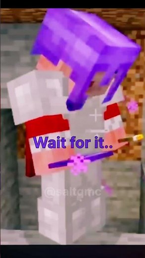 Technoblade And Tommyinit Interactions