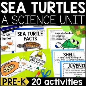 Life Cycle of Sea Turtles Science Unit for Preschool, Pre K: Crafts & Worksheets