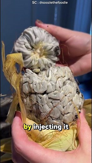 Huitlacoche: The Gourmet Fungus-Filled Corn Delight of Mexico