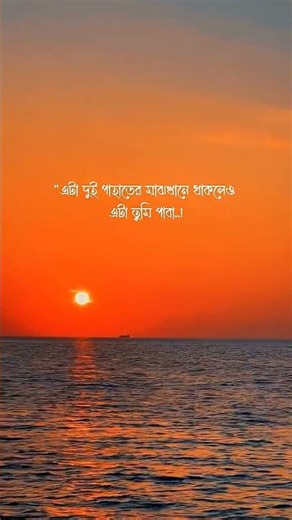 14 March 2026