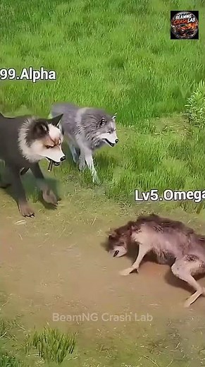 Alpha Wolf vs Giant Gorillas 🐺🦍 | Epic Animal Battle! #Shorts