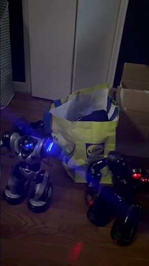 Modded ROBOSAPIEN blue and silver ROBOSAPIEN dance duet audio rip