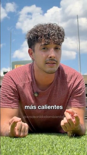 Por qué te Pican a ti los Mosquitos y Cómo Evitarlo
