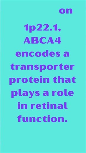 ABCA4 ATP Binding Cassette Subfamily A Member 4