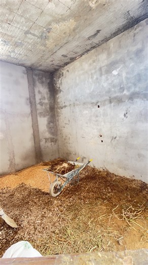 Stable Time with Horses: A Day in the Barn