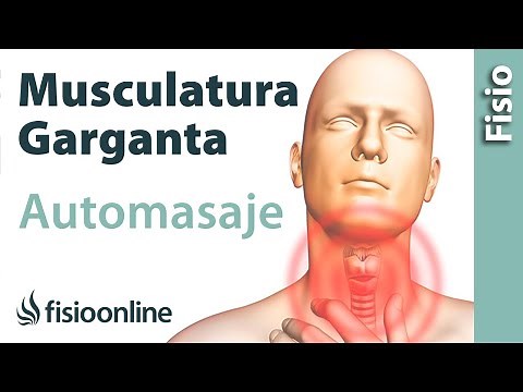 Massage, stretching and mobilization of the tongue and throat muscles.