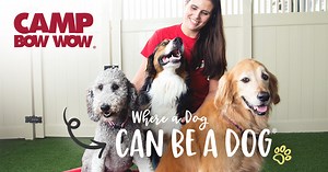 Tour Camp Bow Wow | Pet Care Services