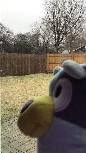 Bluey watches rain turn to snow #Bluey #weather