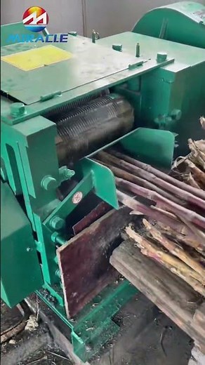 Electric Sugarcane Juice Machine/ Commercial Automatic Sugarcane Juicer!