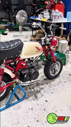 Monkey 🐵✅👌🏻 #จังคัก