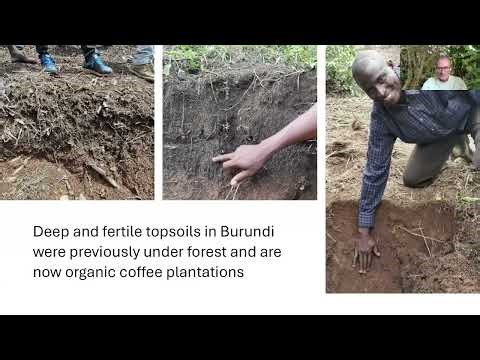 Principles and benefits of organic soil management in agroforestry - Manfred Fürst