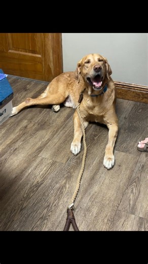 💙💙💙 | Sarah Perkins