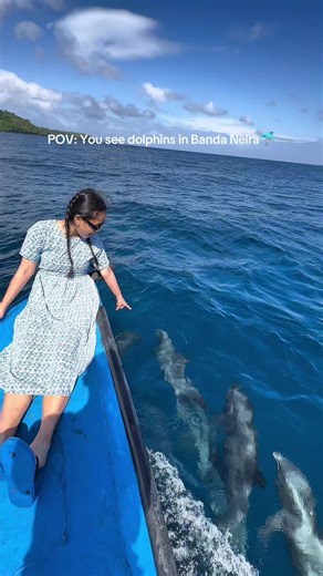 GoPro Underwater Adventure: Dolphin Hunting in Banda Neira