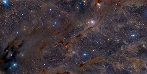 How Many Stars Formed Together With the Sun in Our Stellar Nebula?