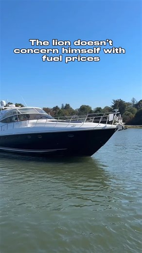 We’re going out on the boat anyway 😎 🛥️: 2003 Cruisers 540 Express 📍: Greenwich, CT Features: - Twin Volvo Penta D-12’s (1500 Hours) - HUGE Two Stateroom Layout - New Garmin - Bow Thruster - New Salon TV Contact us at (877) 734-0898 for more details. Trades Accepted | Southpaw Yacht Sales