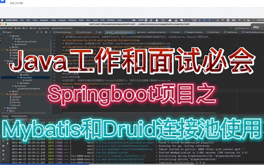 【Java工作和面试必会】-Springboot项目之Mybatis和Druid连接池使用