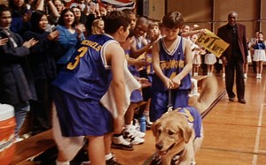 Air Bud 1997 - Theatrical Trailer