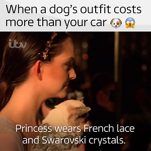 24K views · 79 reactions | We remember when spoiling your dog meant giving them a bit of your sandwich you didn't want  | ITV | Facebook