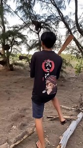 Team Lâm Vlog VS Bầy Ong Vò Vẽ 🤣 | Lâm Vlog