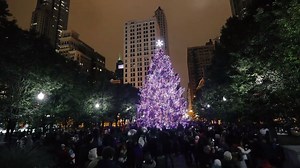 20K views · 456 reactions | Here's how you set up a 62-foot Christmas tree. | Chicago Tribune | Facebook