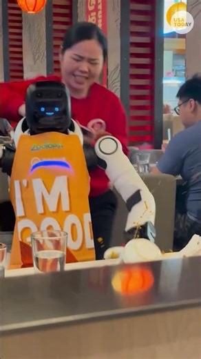 Dancing robot causes tableside chaos. See the video.