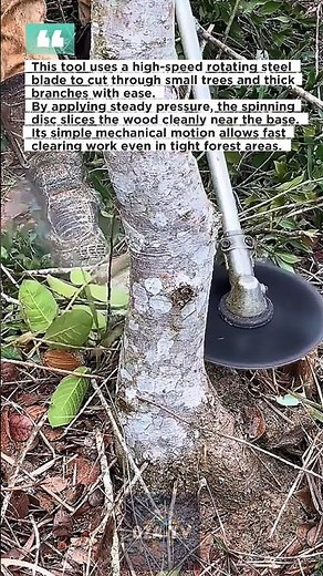 Wood Cutting with Brush Cutter Blade | Fast Tree Removal #brushcutter #woodcutting #forestwork