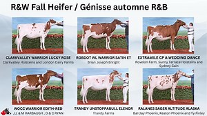 3.4K views · 73 reactions | Here are the nominations for the R&W All-Canadian Contest for the 2023 show season! The results will be announced on January 25th.  - Voici les nominations pour le concours All-Canadian Rouge et Blanc de la saison des expositions 2023! Les résultats seront annoncés le 25 janvier.  | Holstein Canada | Facebook