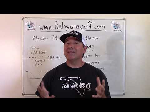 Flounder Fishing with Gulp Shrimp