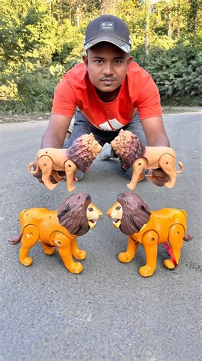 Remote control Rc Lion and Small Tiger￼ Unboxing 😊