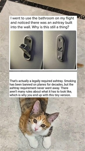 That's actually a legally...