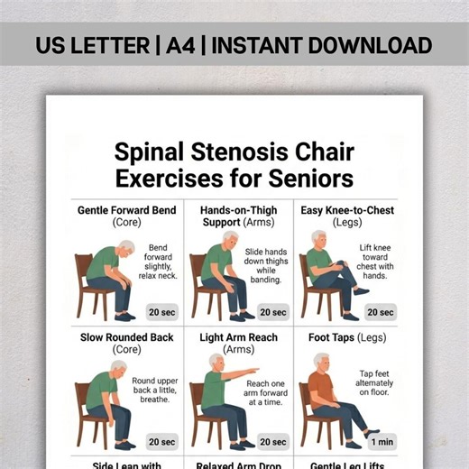 Spinal Stenosis Chair Exercises for Seniors PDF, Seated Stretching Routine, Sciatica Workout, Lower Back Pain Exercise, Instant Download - Etsy
